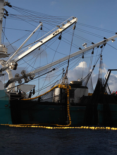 Purse seiner