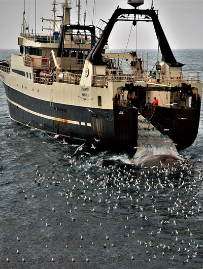 Trawl